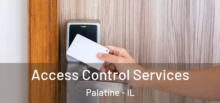  Access Control Services Palatine - IL