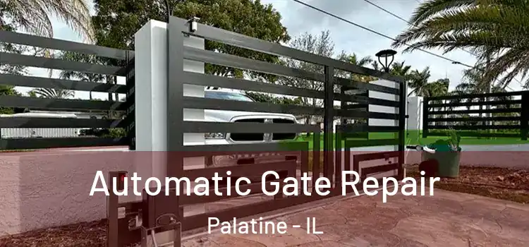  Automatic Gate Repair Palatine - IL