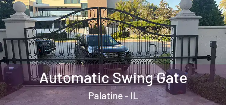  Automatic Swing Gate Palatine - IL