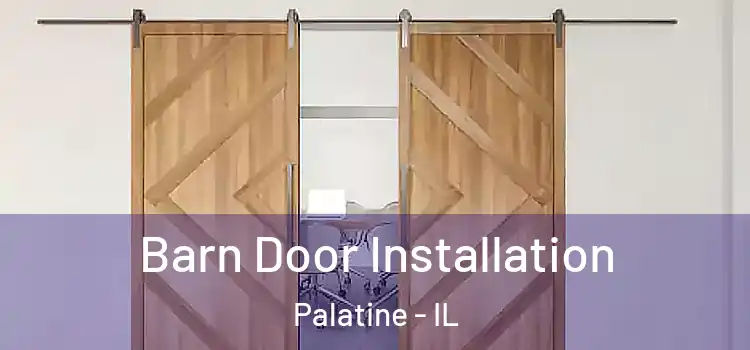 Barn Door Installation Palatine - IL