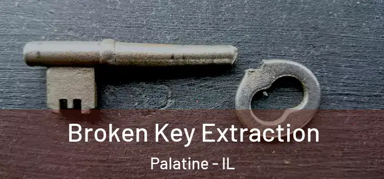 Broken Key Extraction Palatine - IL