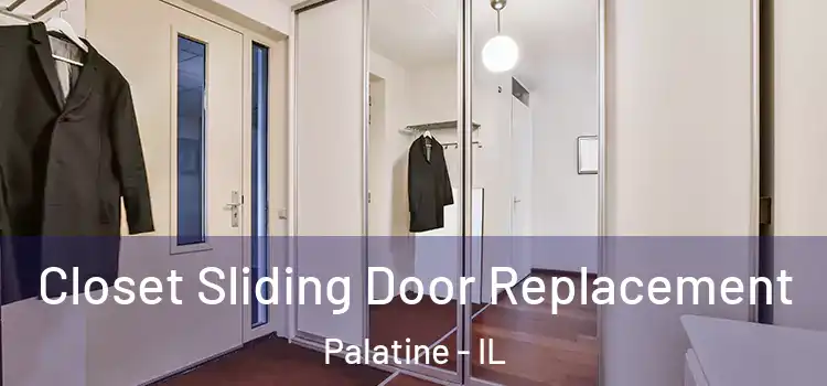  Closet Sliding Door Replacement Palatine - IL