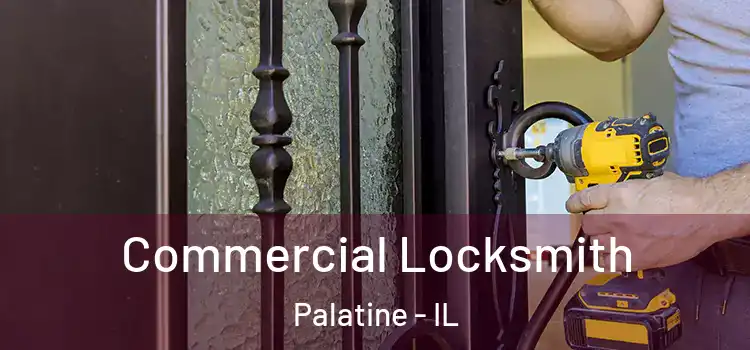 Commercial Locksmith Palatine - IL