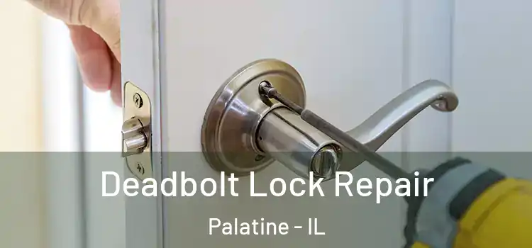  Deadbolt Lock Repair Palatine - IL