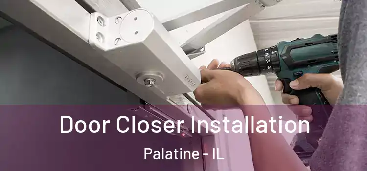  Door Closer Installation Palatine - IL