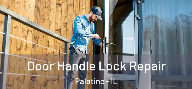 Door Handle Lock Repair Palatine - IL