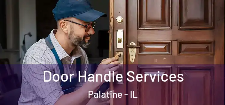 Door Handle Services Palatine - IL