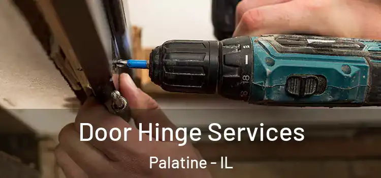 Door Hinge Services Palatine - IL