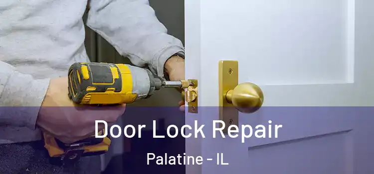  Door Lock Repair Palatine - IL