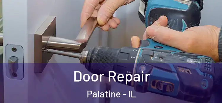  Door Repair Palatine - IL