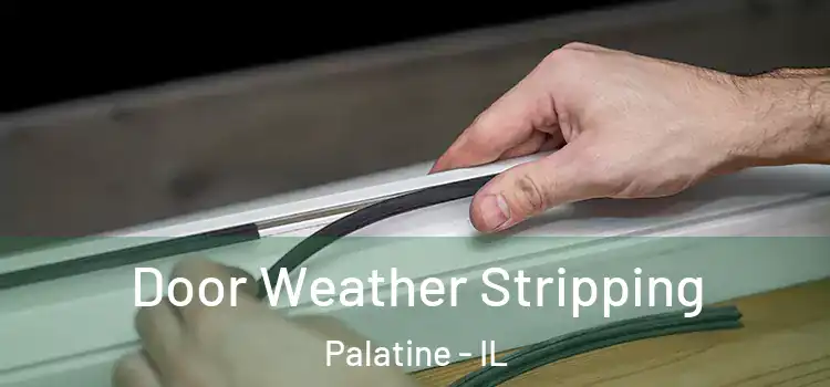  Door Weather Stripping Palatine - IL