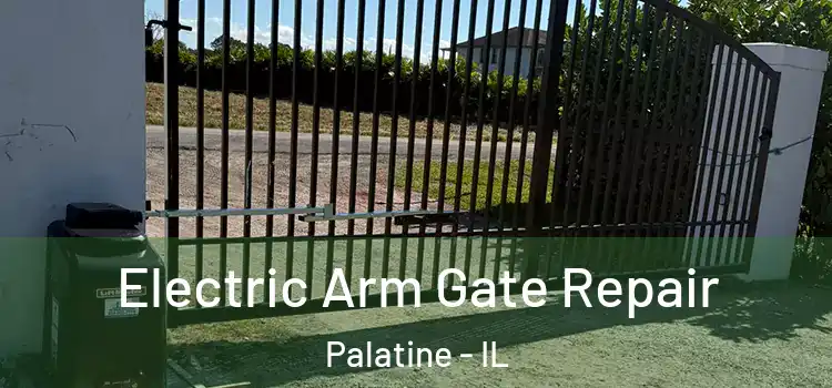  Electric Arm Gate Repair Palatine - IL
