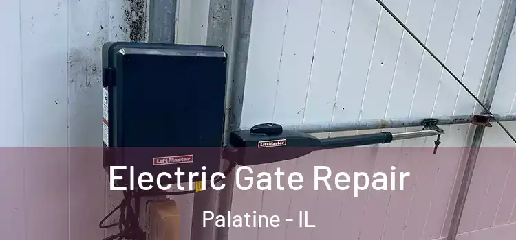  Electric Gate Repair Palatine - IL