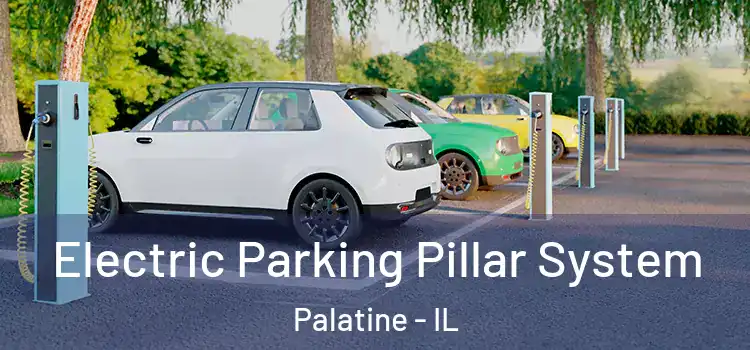  Electric Parking Pillar System Palatine - IL