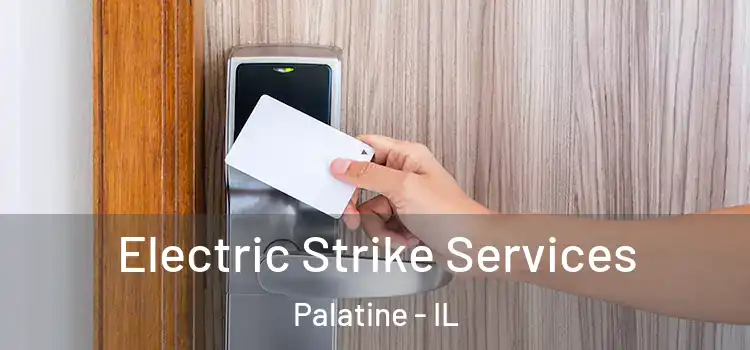 Electric Strike Services Palatine - IL