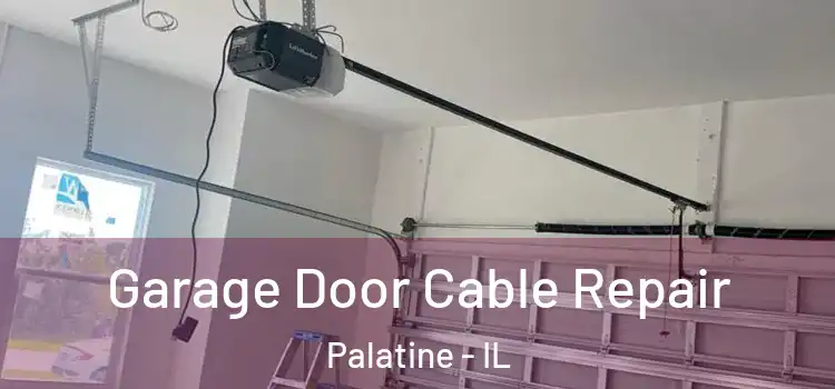  Garage Door Cable Repair Palatine - IL