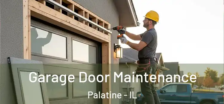  Garage Door Maintenance Palatine - IL