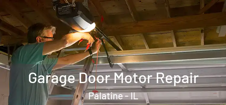  Garage Door Motor Repair Palatine - IL