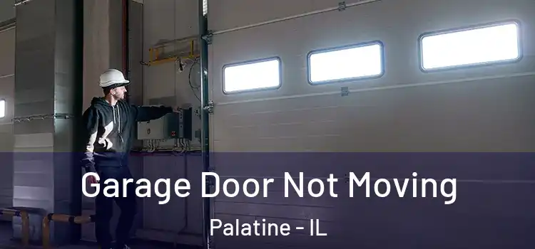  Garage Door Not Moving Palatine - IL