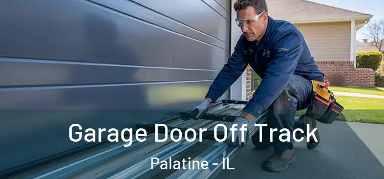  Garage Door Off Track Palatine - IL