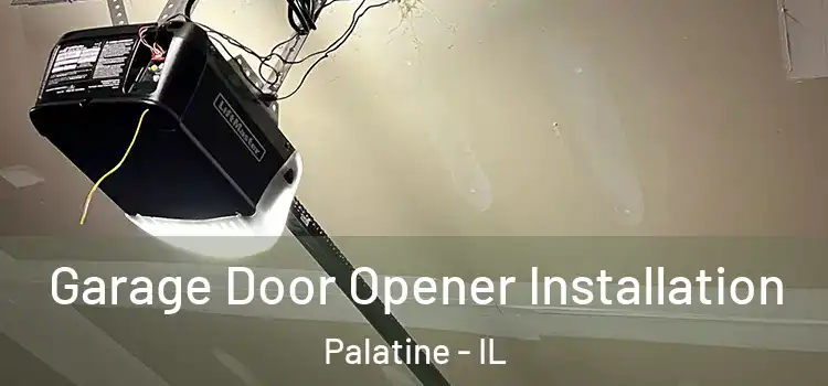  Garage Door Opener Installation Palatine - IL
