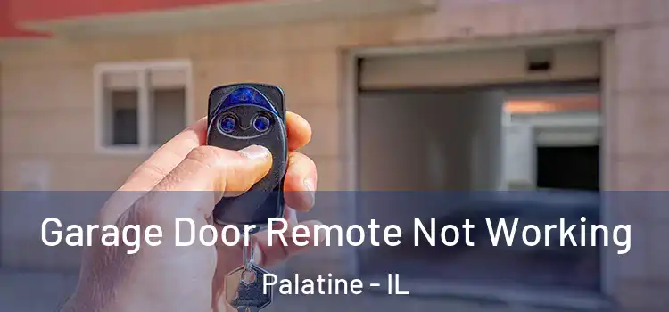  Garage Door Remote Not Working Palatine - IL
