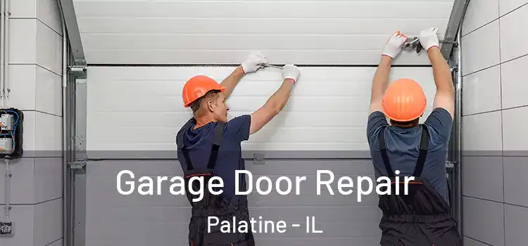  Garage Door Repair Palatine - IL