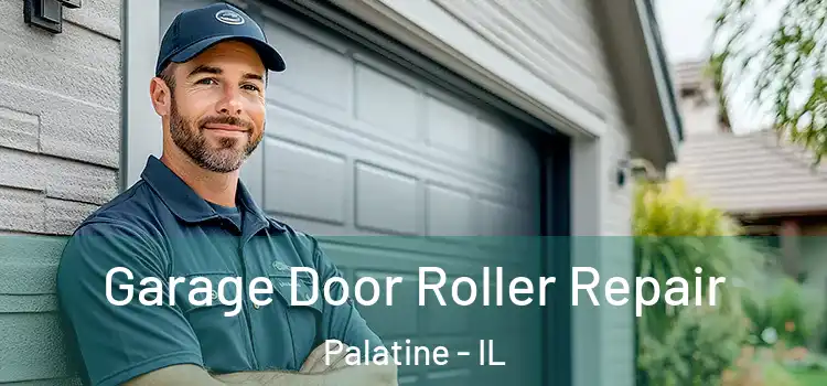  Garage Door Roller Repair Palatine - IL