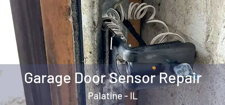 Garage Door Sensor Repair Palatine - IL