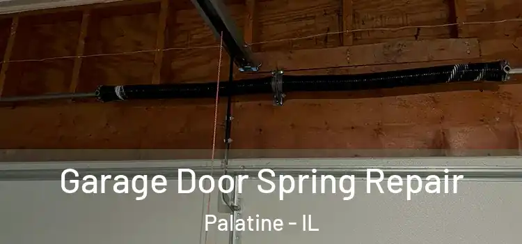  Garage Door Spring Repair Palatine - IL