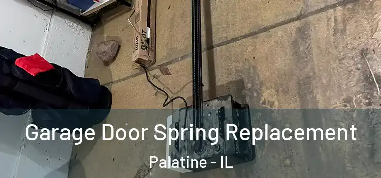  Garage Door Spring Replacement Palatine - IL