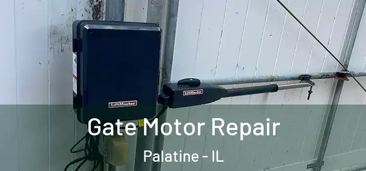  Gate Motor Repair Palatine - IL