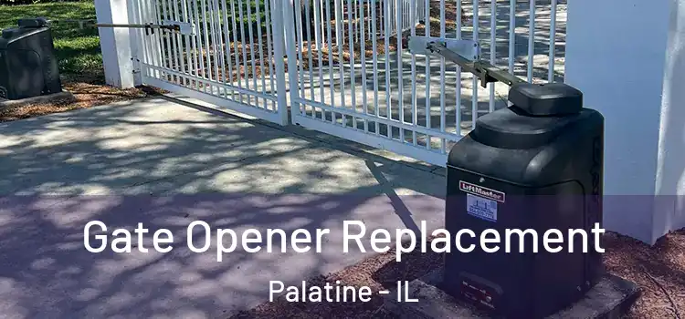 Gate Opener Replacement Palatine - IL