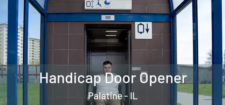  Handicap Door Opener Palatine - IL