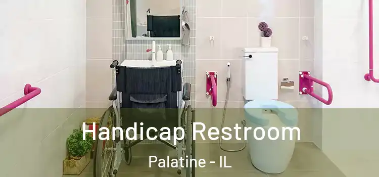  Handicap Restroom Palatine - IL