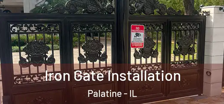  Iron Gate Installation Palatine - IL