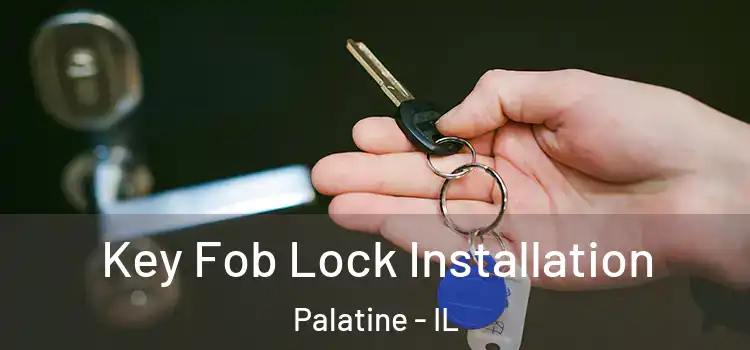  Key Fob Lock Installation Palatine - IL