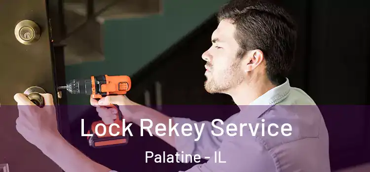  Lock Rekey Service Palatine - IL