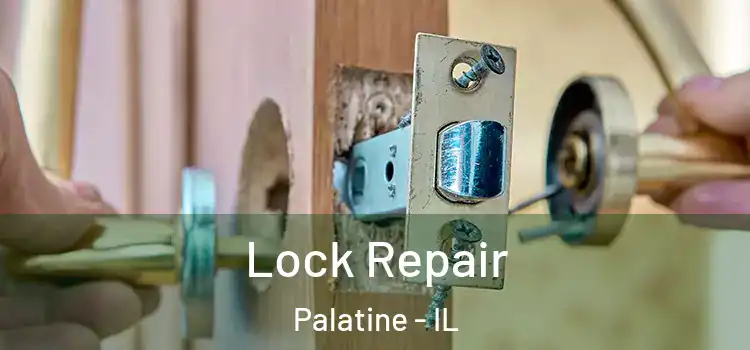 Lock Repair Palatine - IL