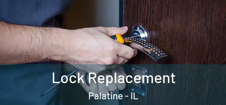 Lock Replacement Palatine - IL