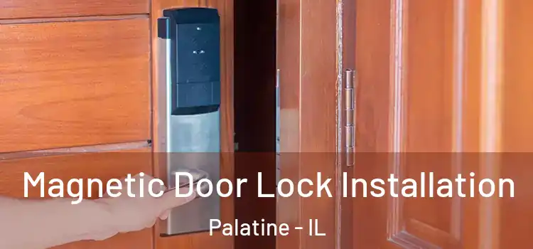  Magnetic Door Lock Installation Palatine - IL