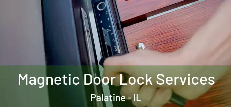  Magnetic Door Lock Services Palatine - IL