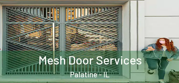 Mesh Door Services Palatine - IL