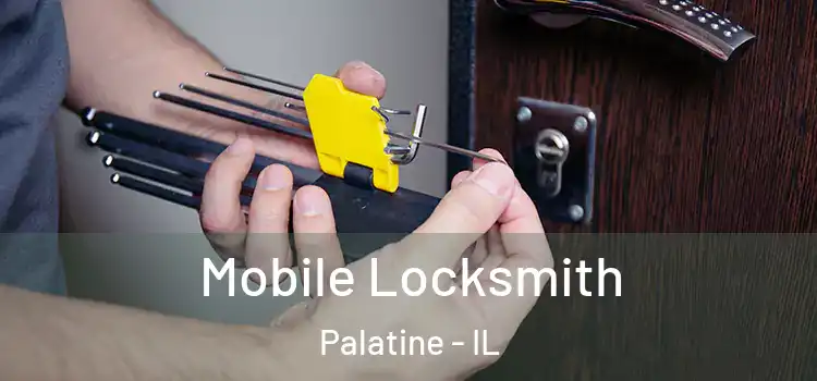 Mobile Locksmith Palatine - IL