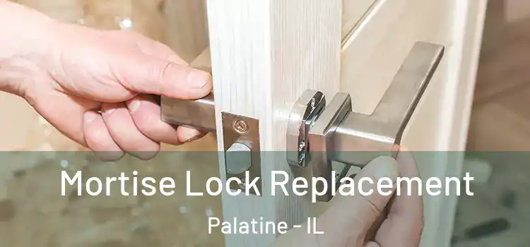 Mortise Lock Replacement Palatine - IL
