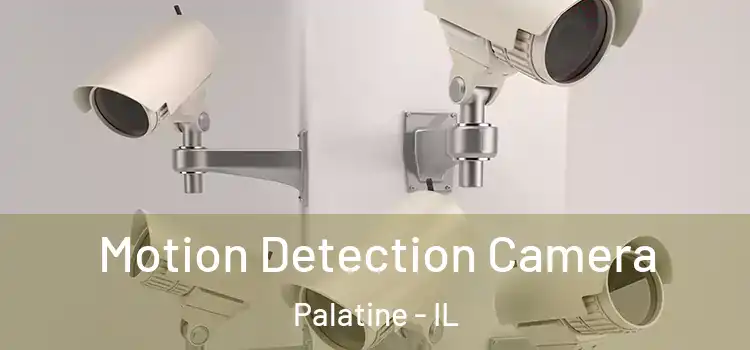 Motion Detection Camera Palatine - IL
