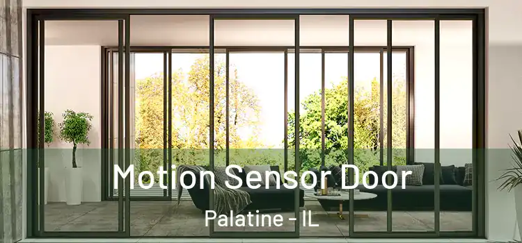  Motion Sensor Door Palatine - IL