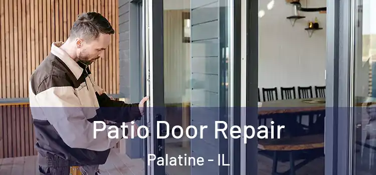  Patio Door Repair Palatine - IL
