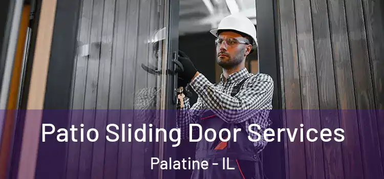  Patio Sliding Door Services Palatine - IL