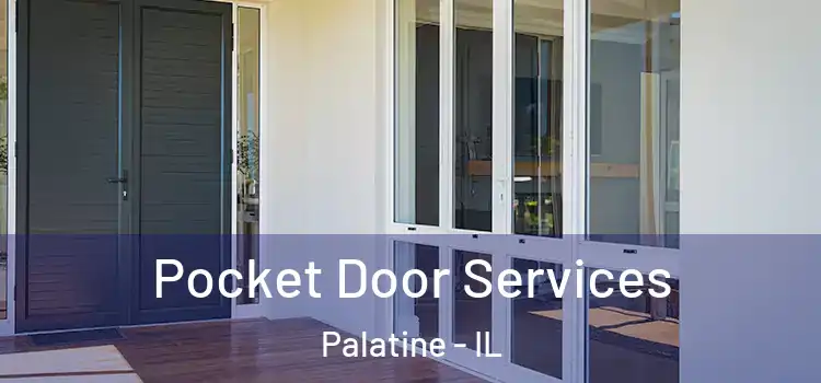  Pocket Door Services Palatine - IL